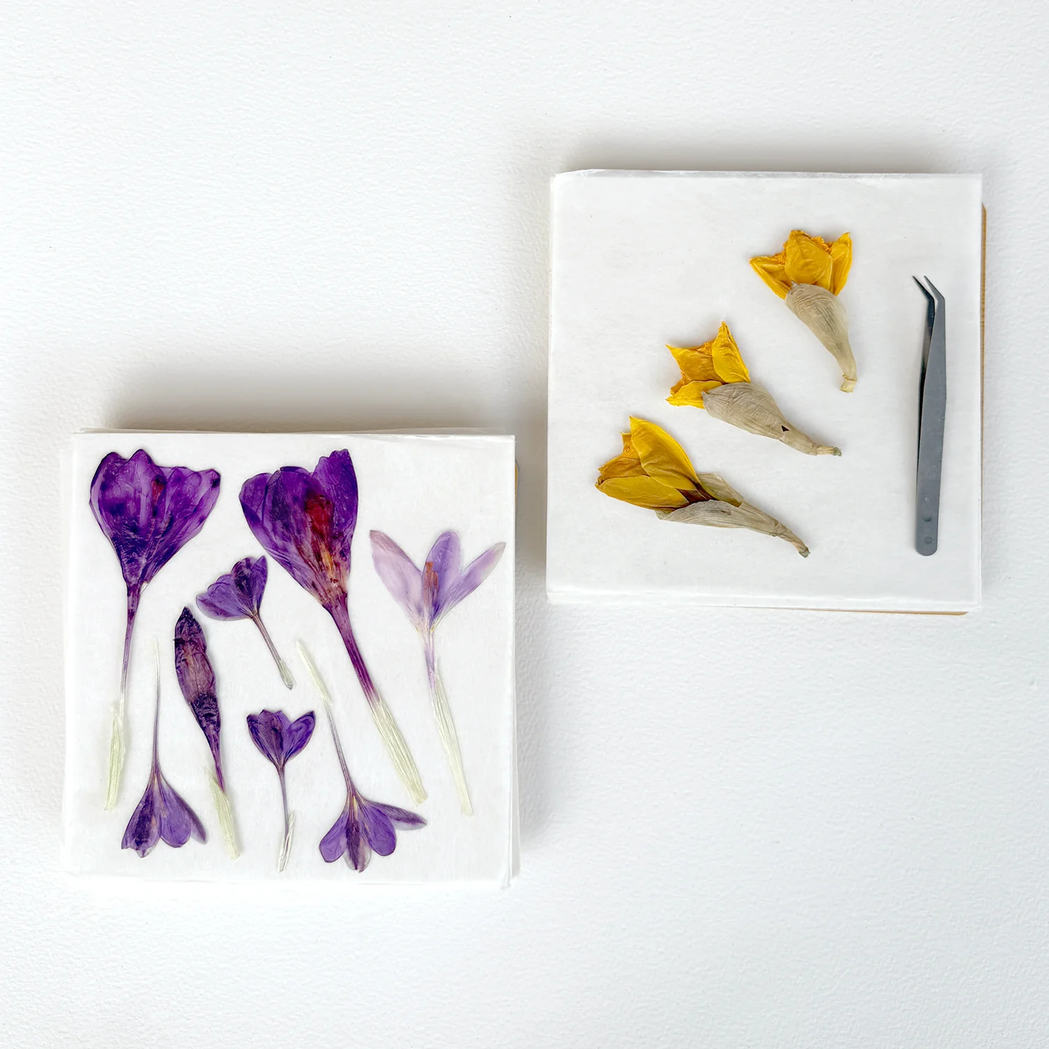 Björn's Classic Flower Press Kit - Image 5