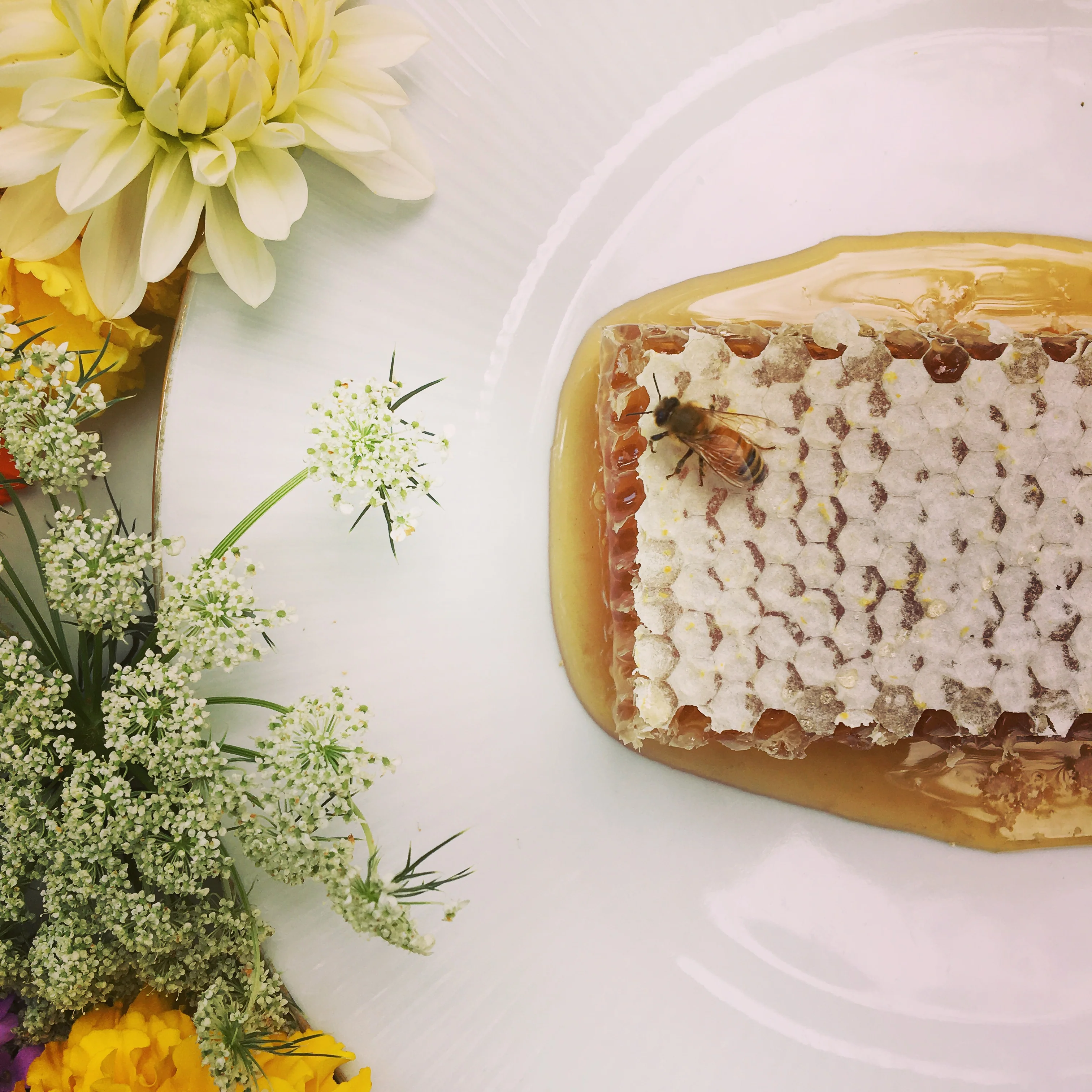 Colorado Honeycomb - Image 2